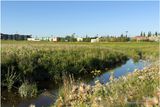 IMG_3046-Airdrie.jpg