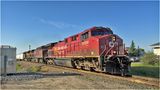 IMG_3067-Airdrie.jpg