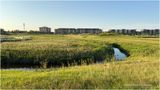 IMG_3171-Airdrie.jpg