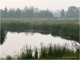 IMG_3253-Airdrie.jpg
