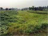 IMG_3292-Airdrie.jpg