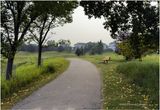 IMG_3295-Airdrie.jpg
