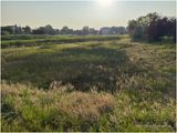 IMG_3365-Airdrie.jpg