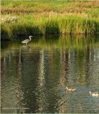 IMG_3967.jpg