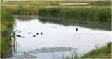 IMG_3990-Airdrie.jpg