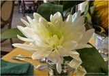 IMG_3954-Table Flower.jpg