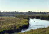 IMG_4076-2-Airdrie.jpg