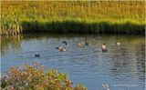 IMG_4139-Airdrie.jpg