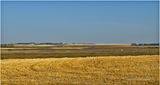 IMG_4169.jpg
