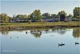 IMG_4200-Airdrie.jpg