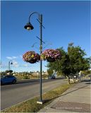 IMG_4361a-Airdrie.jpg