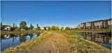 IMG_4377-Airdrie.jpg