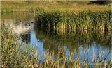 IMG_4381-Airdrie.jpg