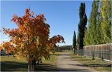IMG_4404-Airdrie.jpg
