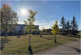 IMG_4433-Airdrie.jpg
