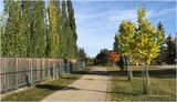 IMG_4436-Airdrie.jpg