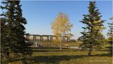 IMG_4452-Airdrie.jpg