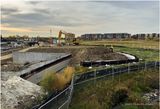 IMG_4554-Airdrie.jpg