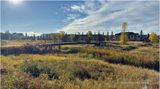 IMG_4615-Airdrie.jpg