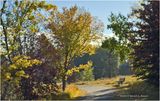 IMG_4617a-Airdrie.jpg