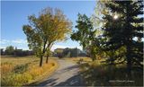 IMG_4618-Airdrie.jpg