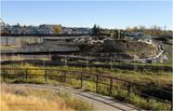 IMG_4754-Airdrie.jpg