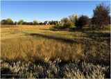 IMG_4771-Airdrie.jpg