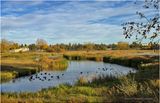 IMG_4802-Airdrie.jpg