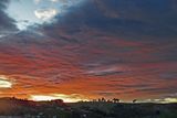 Dunedin Sunset<br><h4>*Credit*</h4>