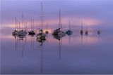 113] Koolewong Stillness