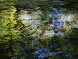 158] Monet at Muir Creek