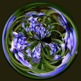 Blue Bells Mirrorball