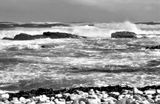 Rocky Shore