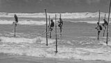 Stilt Fishing<br><h4>*Credit*</h4>