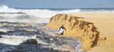 The Washaway<br><h4>*Credit*</h4>