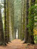 Path to the End