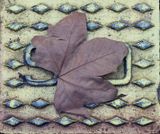 Fallen Leaf<br><h4>*Credit*</h4>