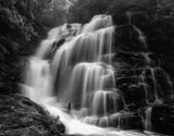 .Sylvia Falls<br><h4>*Merit*</h4>