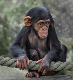 My Next Act<br><h4>*Merit*</h4>