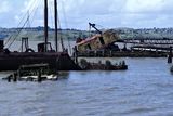 benicia_crane_rt_7175-2.jpg