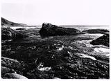 carmel_2021_10-011b-2.jpg