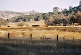 cal_hiway_108_2011_12_rt_23-1.jpg
