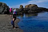 fort_bragg_glass_beach_06_2019_rt_0619.jpg
