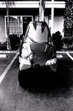 los_angeles_tango_t600_car_2007_10-26-1.jpg