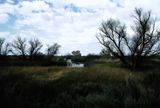 california_kern_wildlife_refuge_2006_4_rt_27.jpg