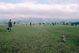 richmond_point_isabel_2007_1_rt_v_05.jpg