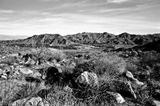 palm_springs_2008_2_rt_tx.jpg