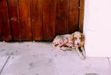 cartagena_2009_11_rt_ 31A.jpg