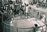 cruise_pool_2009_11_rt_a25_cu_13A.jpg
