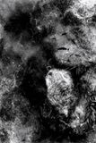 algae_2021_12_g_rt_0208.jpg